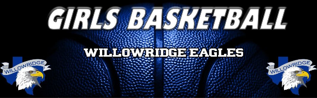 Bi-District Playoffs - Willowridge Girls Basketball